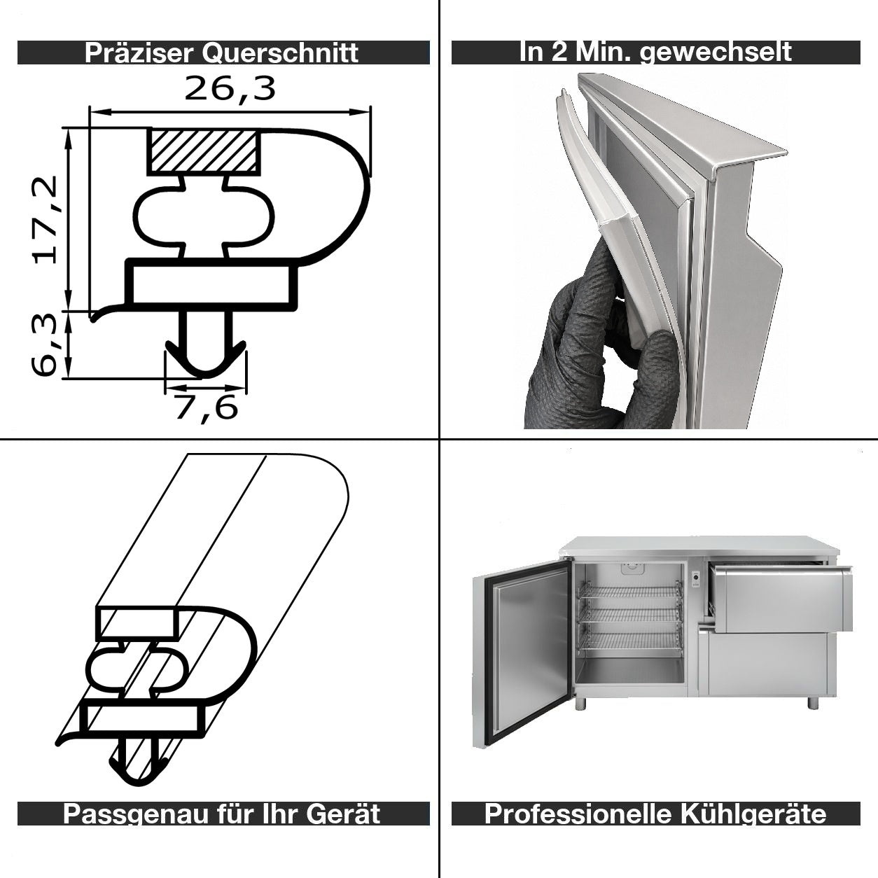 Magnetdichtung - Profil KD11 inkl. Magnetband - Länge: 2500mm
