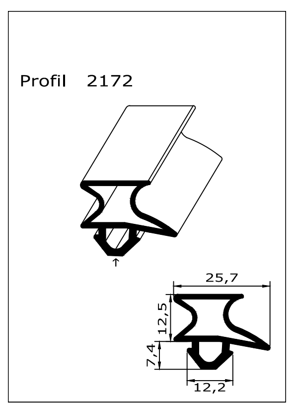 Profil ohne Magnet - Profil 2172 - auf Maß